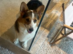 -J Create城市露营咖啡·简餐·宠物(上海动物园店)