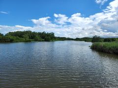 -大湾区中央湿地公园