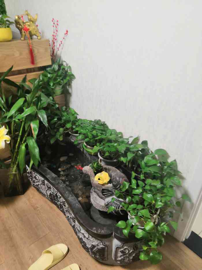 聚佰草美容养生会所-"环境:一进门看到的是现代的装饰,门边放着.