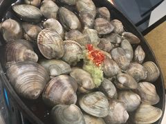 -顺德哥卜卜贝(旗舰店)