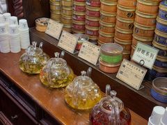 -布兰兔的植物庄园(杭州南宋御街店)