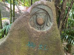 -呀诺达热带雨林