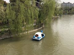 -南汇桃花村