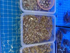 -启东小海鲜(庄先湾路1号店)