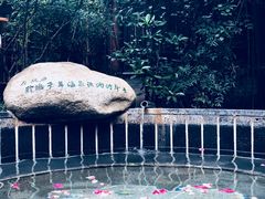 -观唐（国际）度假村温泉