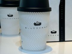 -BLACKSWAN黑天鹅(环球店)