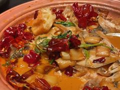 -柿合缘新京菜(国金中心商场店)