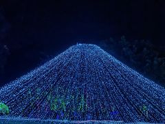 -广西壮族自治区药用植物园