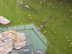 -南昌动物园