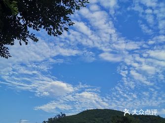 感觉今年夏天会很难熬呢！