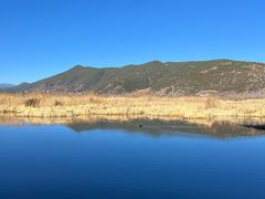 -泸沽湖国家级风景名胜区走婚桥