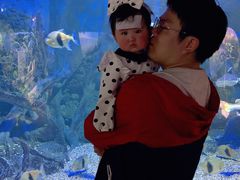 -江和美海洋公园
