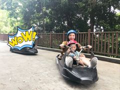 -圣淘沙天际线斜坡滑车