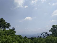 -南山植物园