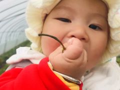 -恒绿农产品草莓采摘园