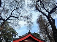 -北京艺术博物馆(万寿寺)