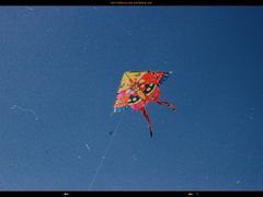 -杭州城北体育公园