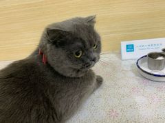 -美联众合动物医院·24h京西诊疗中心