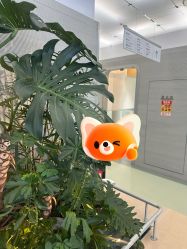 -纯粹医美