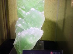 -中华赏石园