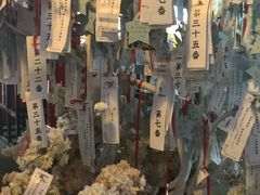 -长藤鬼校(龙翔店)