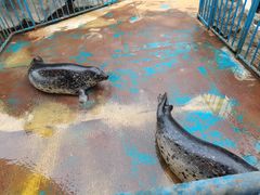 -华夏文旅海洋公园