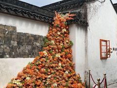 -青果巷历史文化街区