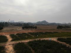 -光明小镇欢乐田园
