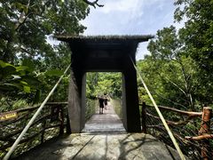 -海南热带雨林国家公园吊罗山景区
