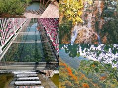 -嵖岈山风景区