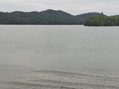 -东湖落雁景区