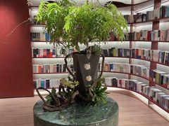 -二酉书店TOYOU BOOKS