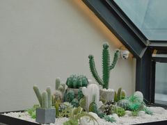 -大树餐厅(红旗街万达店)