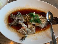 清蒸海石斑-彩丰楼中餐厅·仁恒洲际酒店