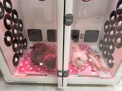 -多卡布奇宠物生活馆(上林世家店)