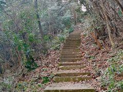-午潮山国家森林公园