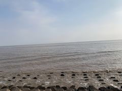 -碧海金沙