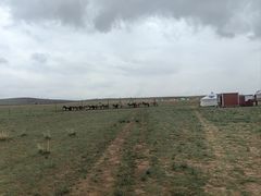 -希拉穆仁草原