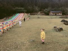 -武陵山森林公园