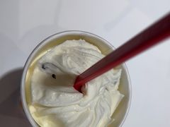 -DQ·蛋糕·冰淇淋(石家庄北国奥特莱斯店)