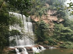-黄荆老林