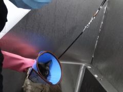 -圣宠动物医院·犬猫专科·影像中心·外科中心