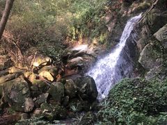 -波尔登森林公园