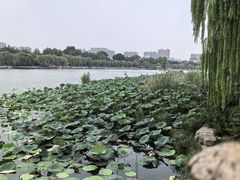 -济南大明湖景区