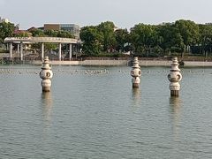 -葛仙湖公园