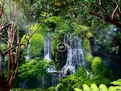 -Chom Cafe and Restaurant