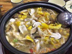 -菌之家·专业纯野生菌火锅·特色炒菌