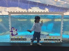 -海合安武汉极地海洋公园