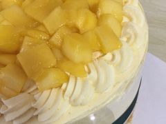 -EnergyCake蛋糕理想国