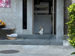 -Again Coffee Roaster(香蜜湖店)